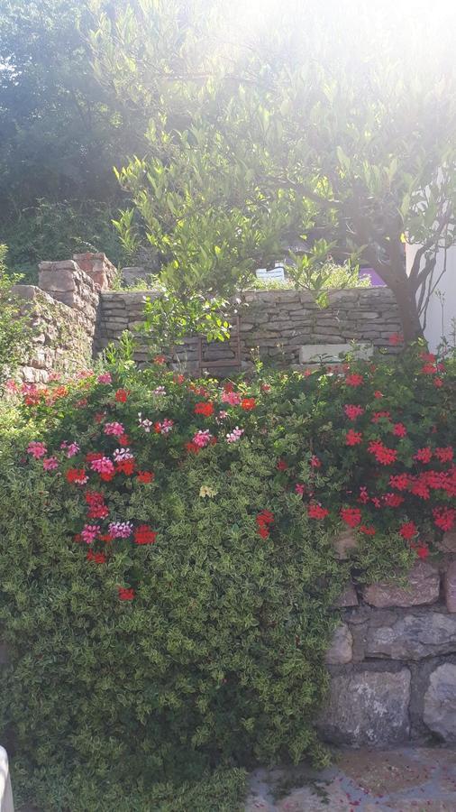 Vila Lucice Petrovac Exterior photo